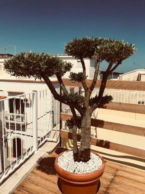 Apartamento La Casa Al Borgo Vieste Exterior foto